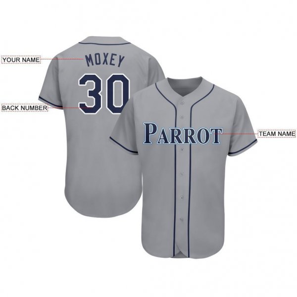 Men's Custom Gray Navy-Powder Blue Baseball Jersey